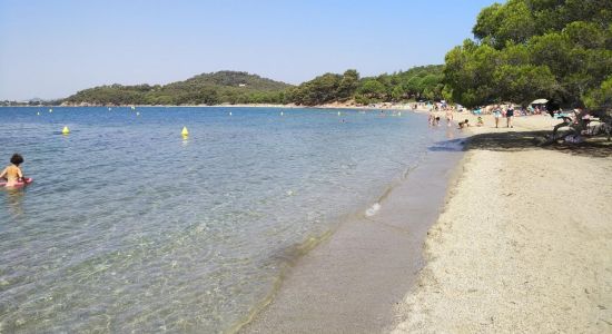 Pellegrin Strand