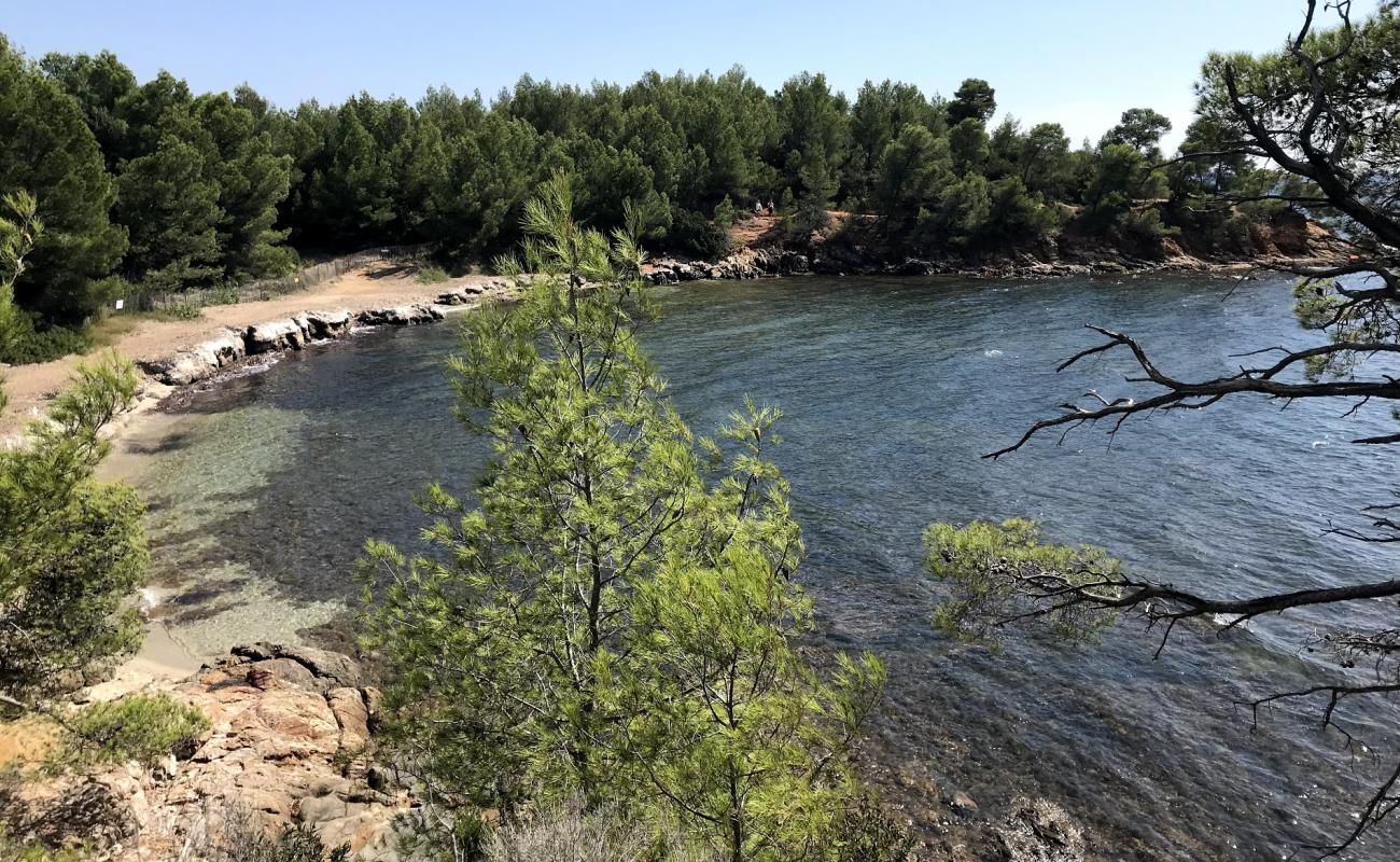 Foto af St. George's beach med sten overflade