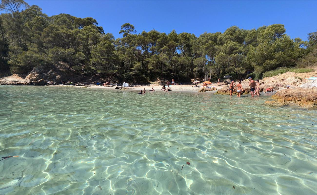 Foto af Cap Leoube beach med små multibays