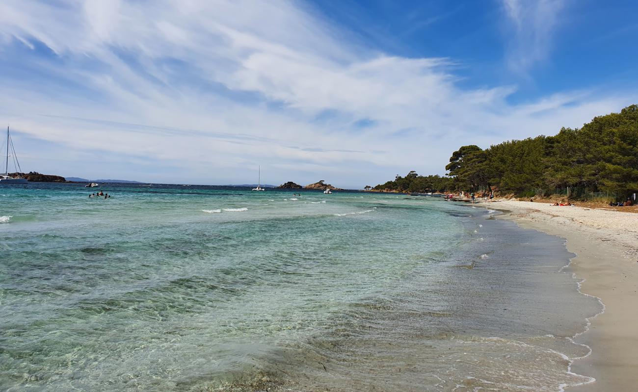 Foto af Large garden beach med hvidt sand overflade