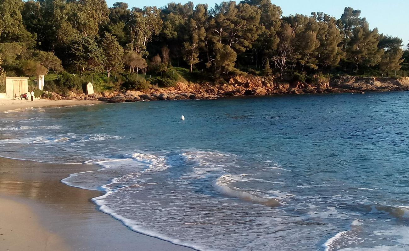 Foto af Dimple beach med hvidt sand overflade