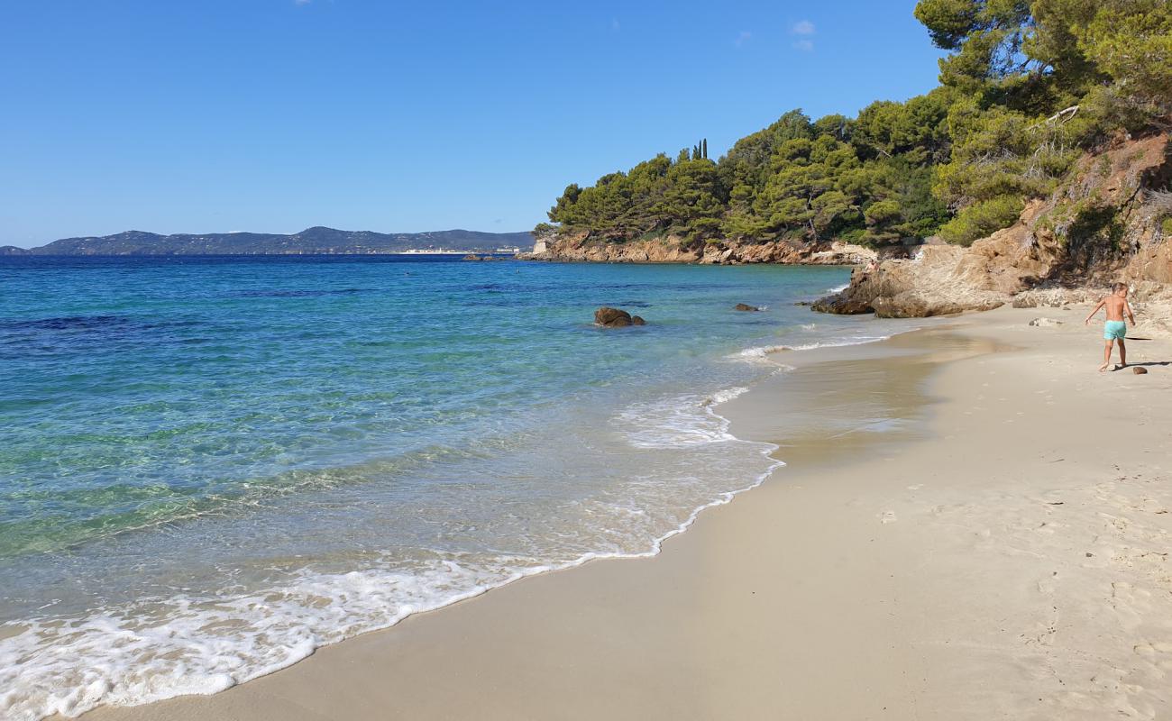 Foto af White Jean beach med lys sand overflade