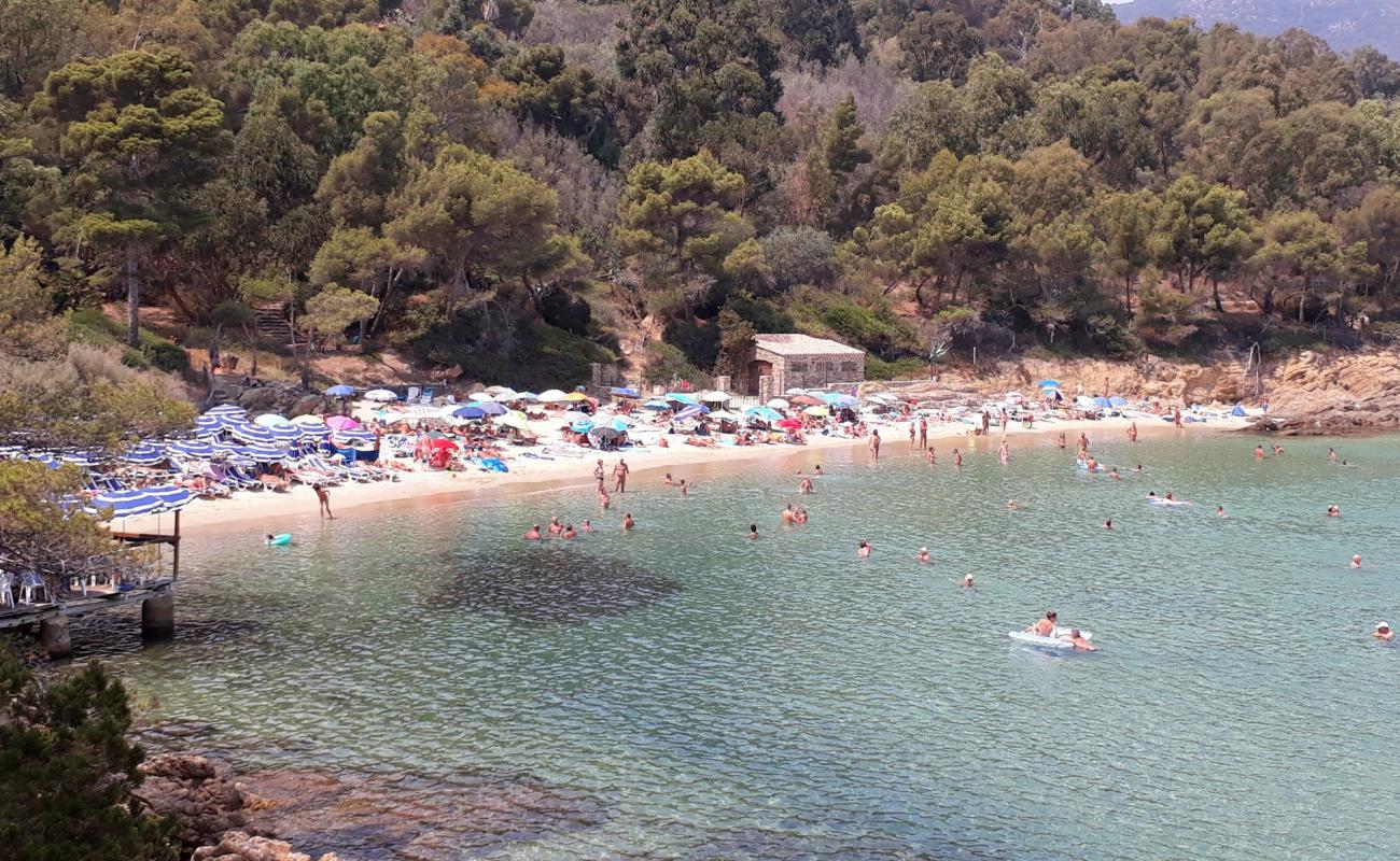 Foto af Layet Strand med lys sand overflade