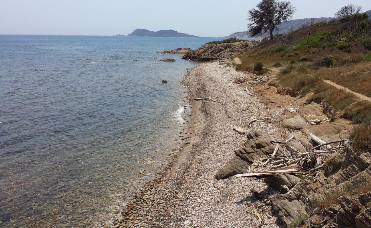 Foto af Quessine beach med sten overflade