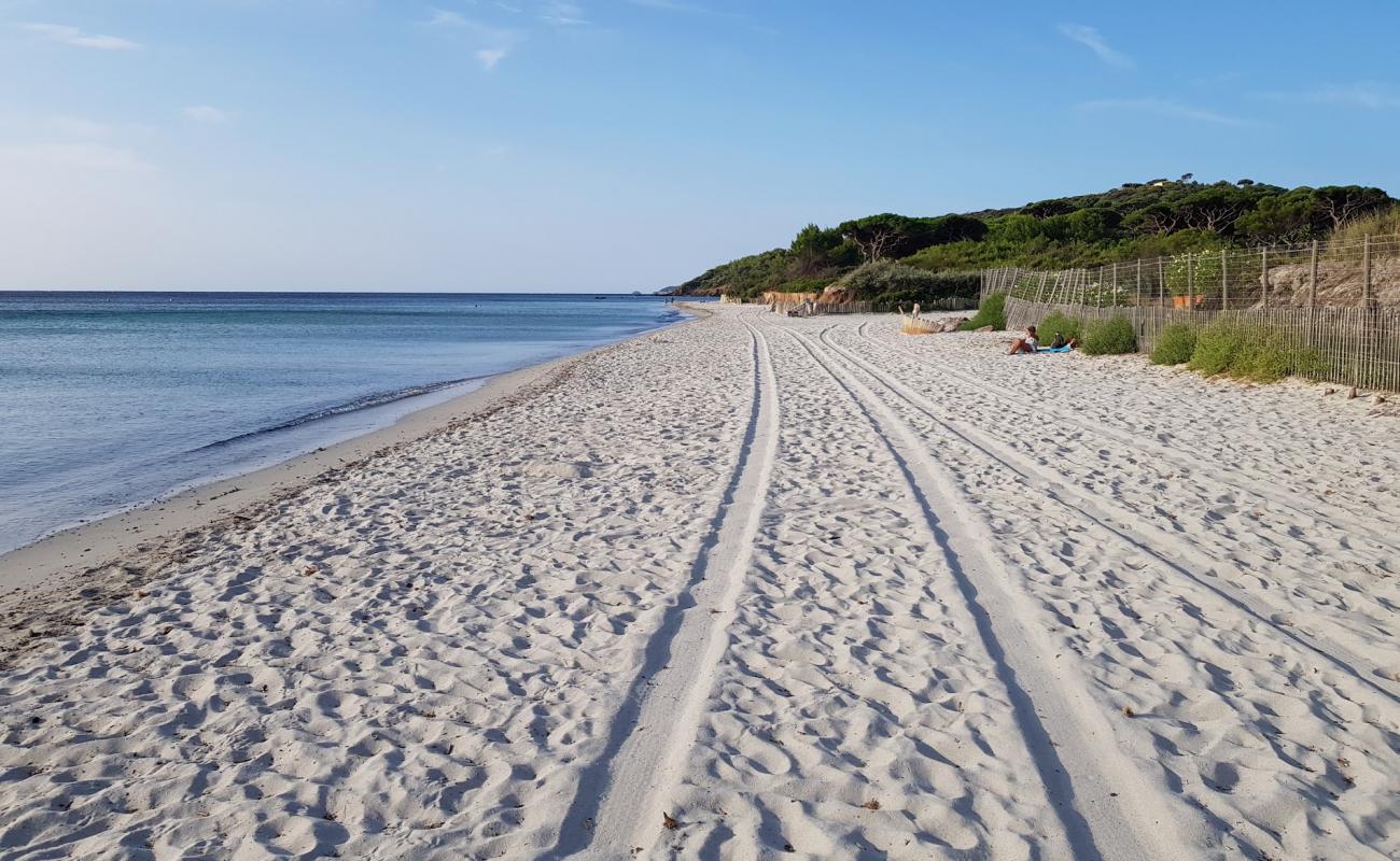 Foto af Salins beach med lys fint sand overflade