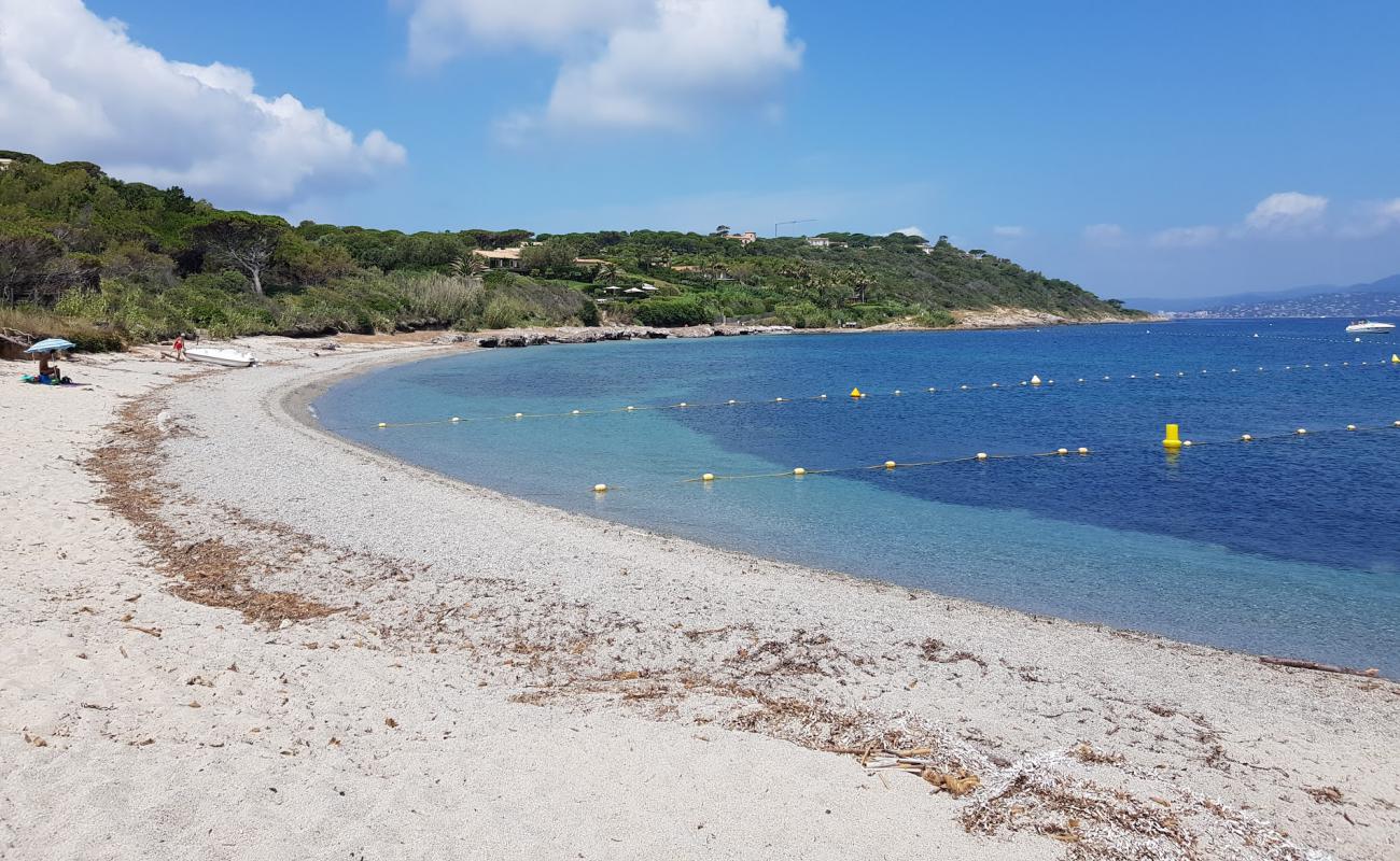 Foto af La Moutte beach med lys sand overflade