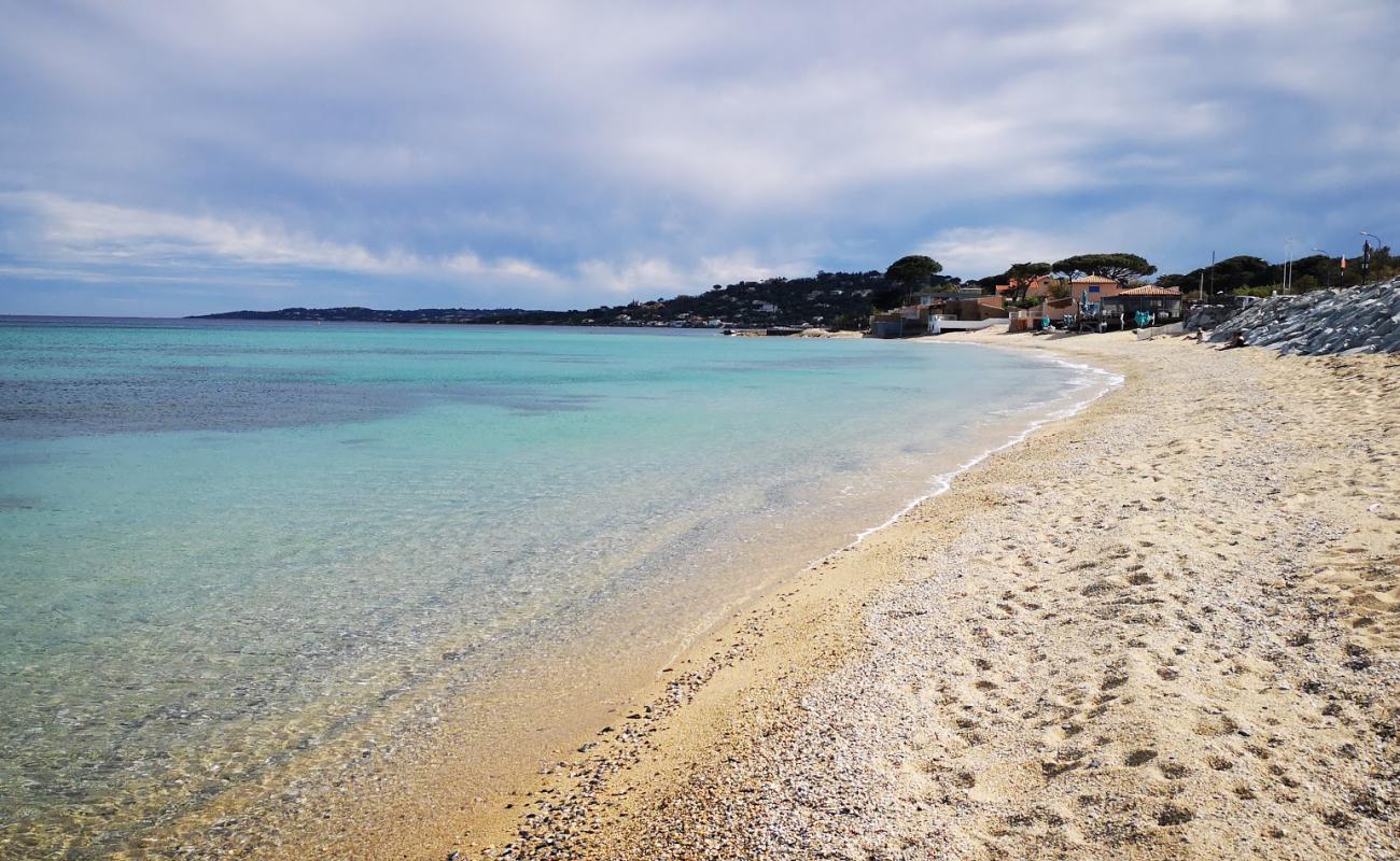 Foto af Elefanter Strand med lys sand overflade