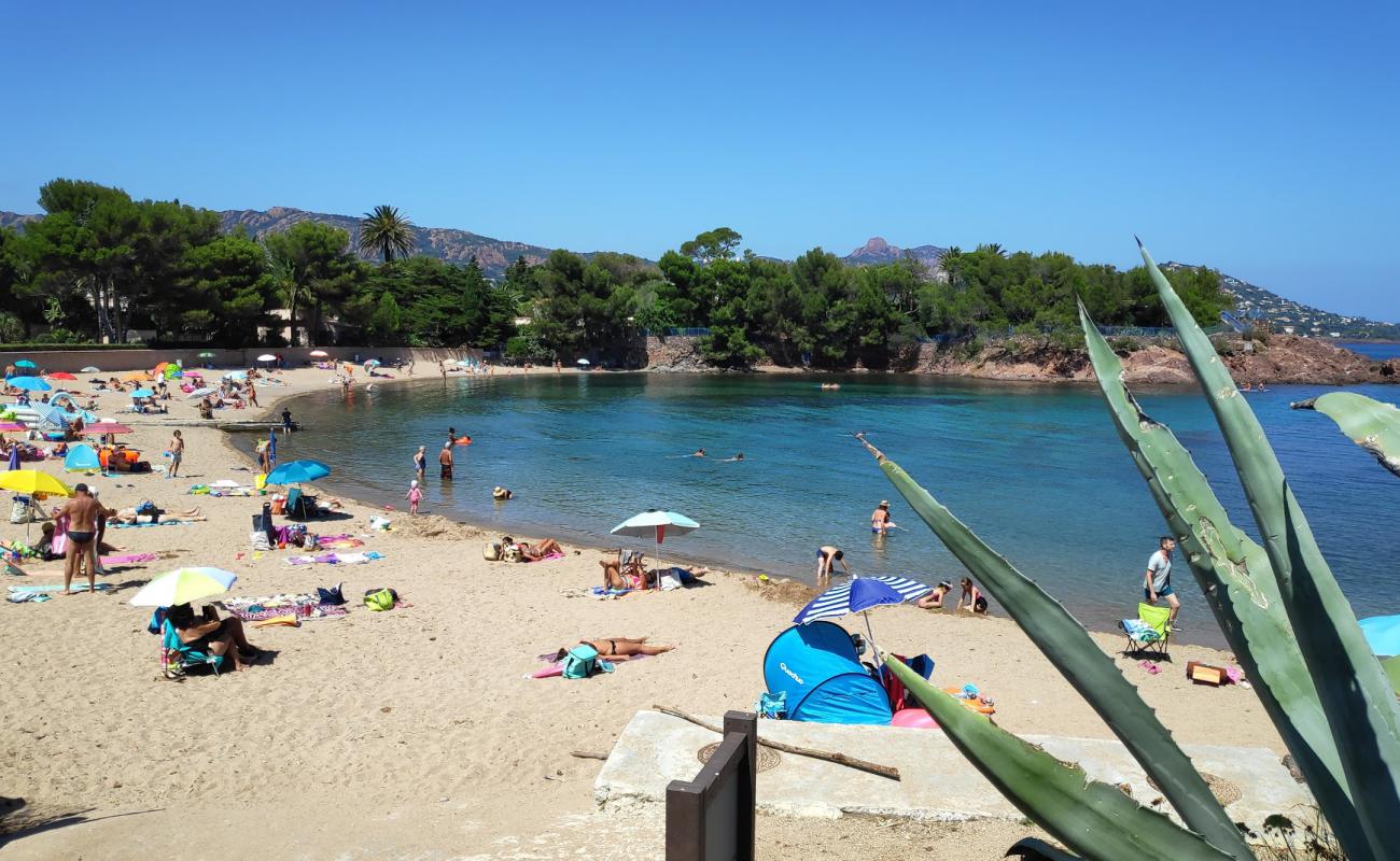 Foto af Plage de Camp Long med lys sand overflade