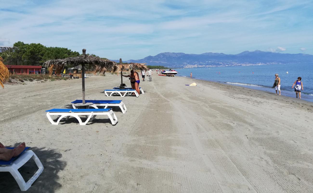 Foto af Plage de Borgo med lys sand overflade