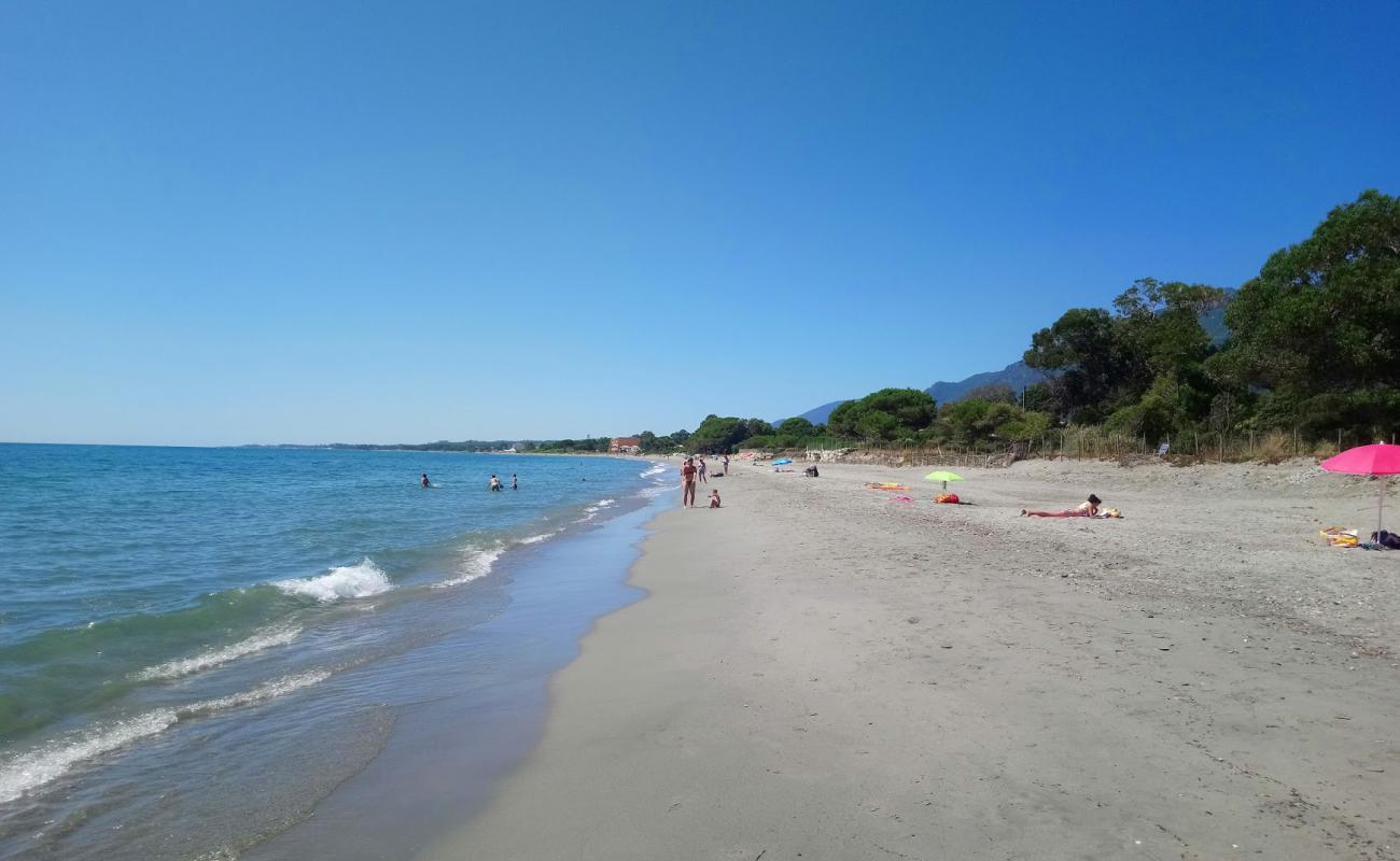 Foto af Ponticchio beach med lys sand overflade