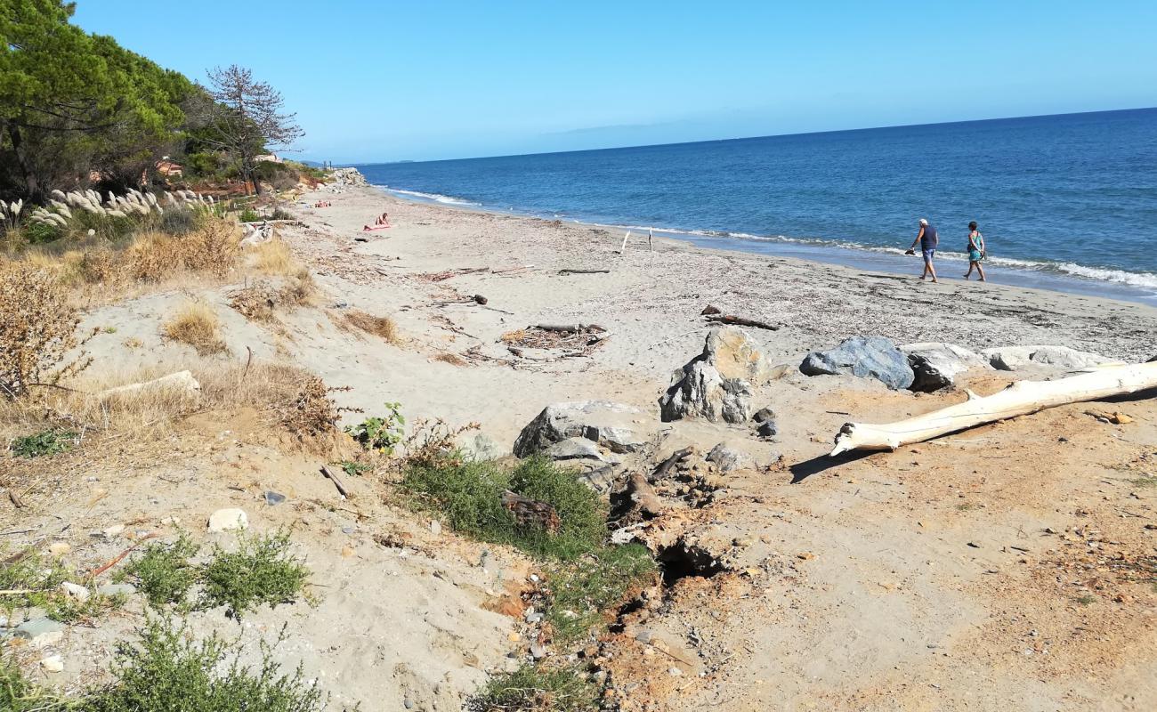 Foto af Pisonaccio med lys sand overflade