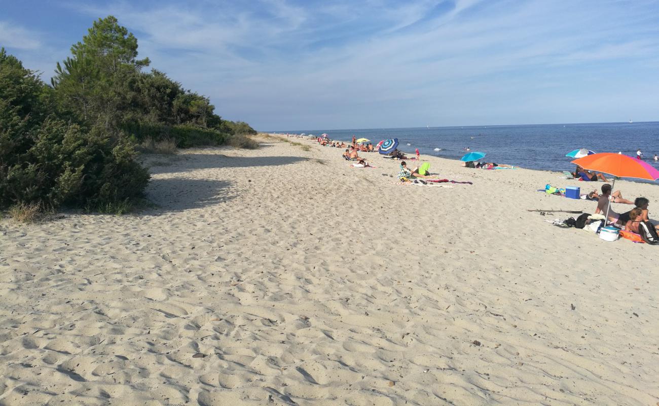 Foto af Plage Pinia med lys fint sand overflade