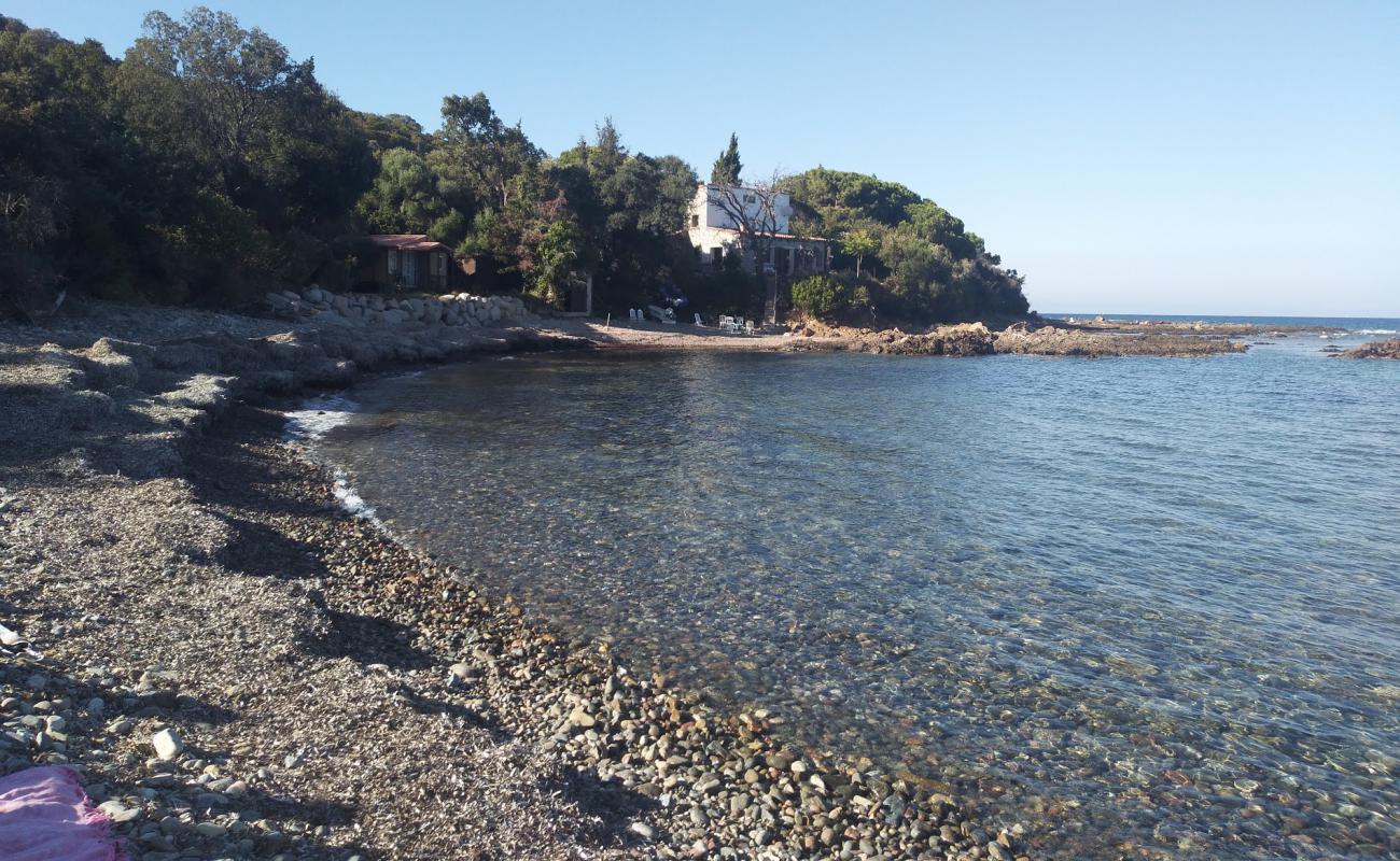 Foto af Plage Figa med grå sten overflade