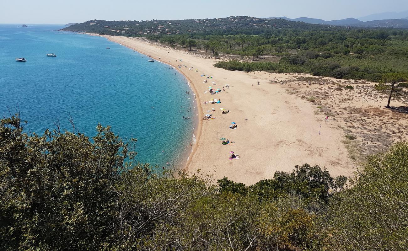 Foto af Plage de L'Ovu Santu med lys sand overflade