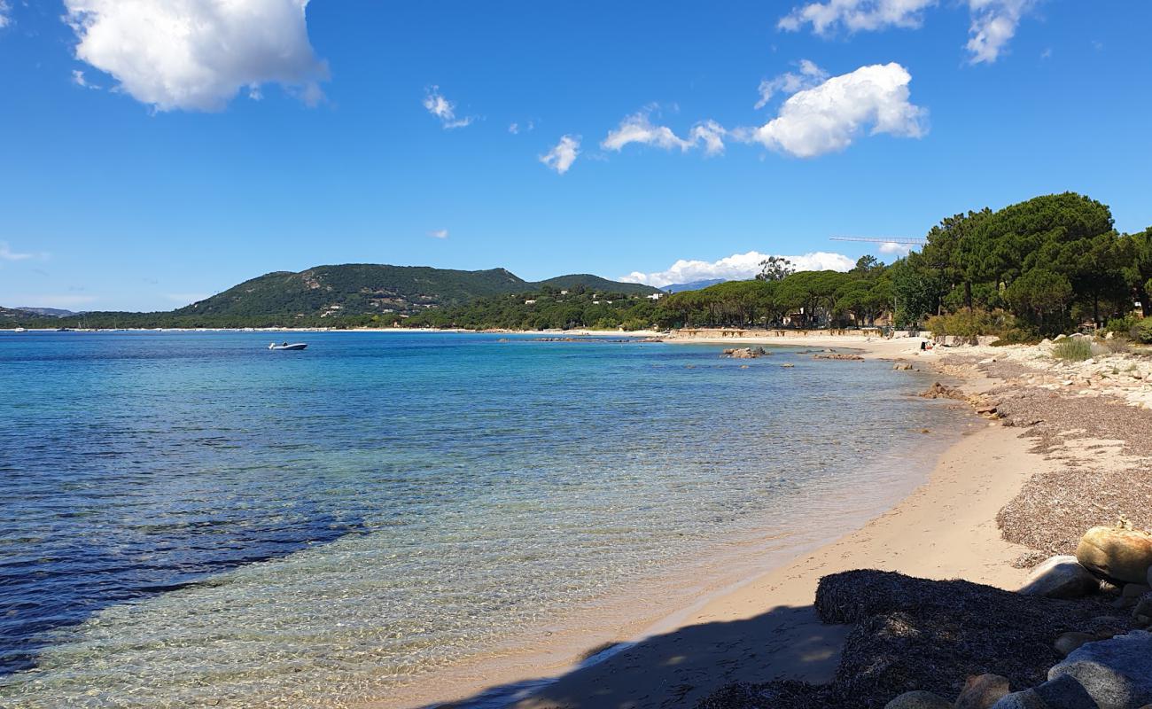 Foto af Plage de Vardiola med lys sand overflade