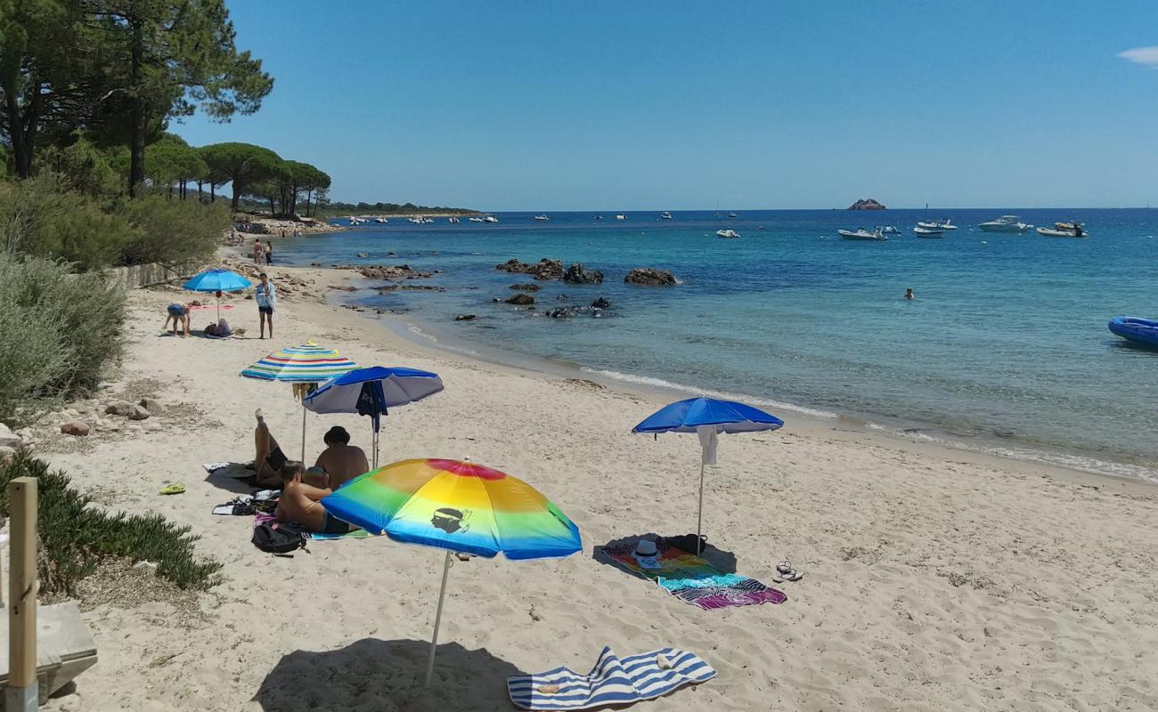 Foto af Plage de Vardiola II med lys sand overflade