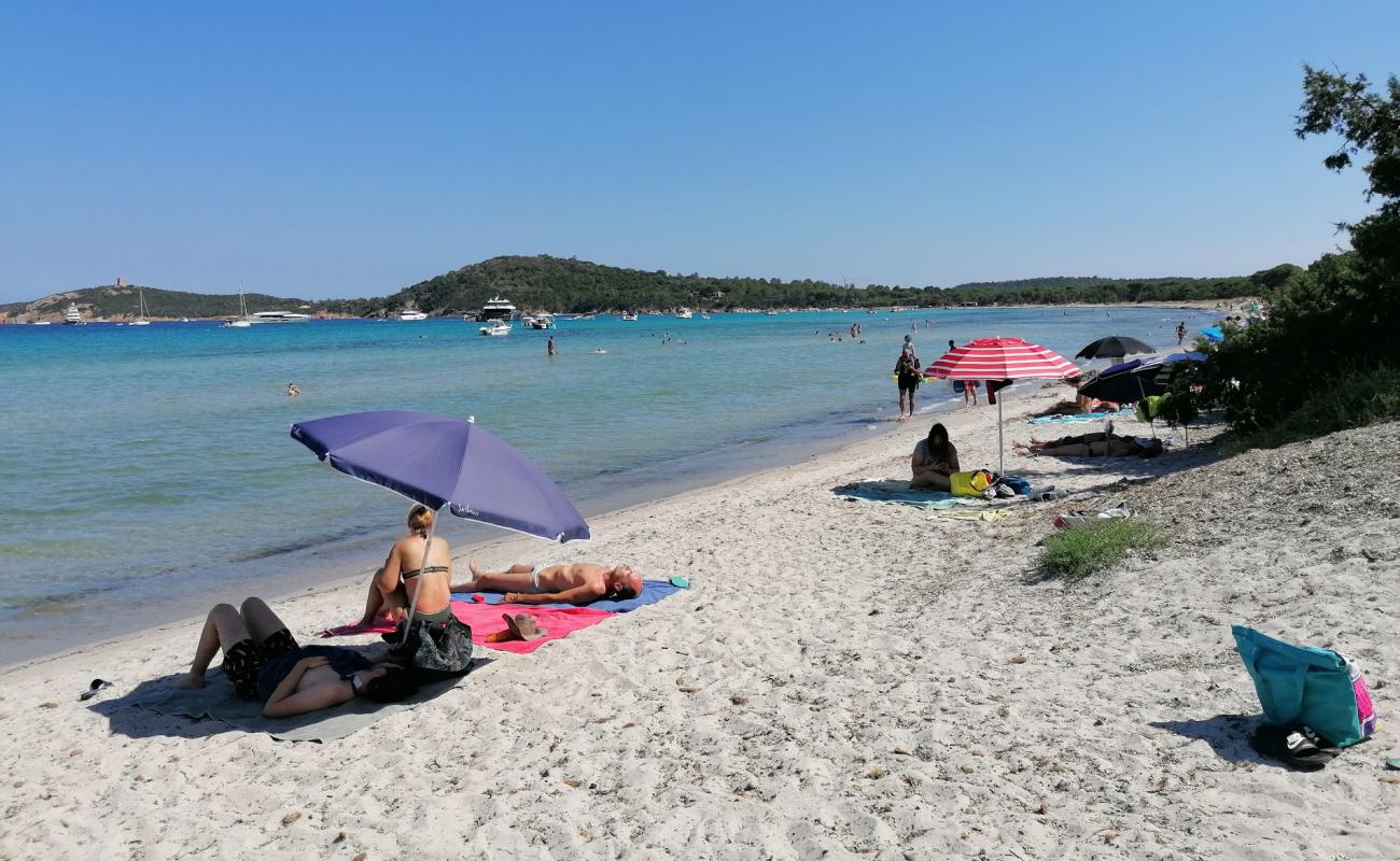 Foto af Pinarellu Strand med lys fint sand overflade