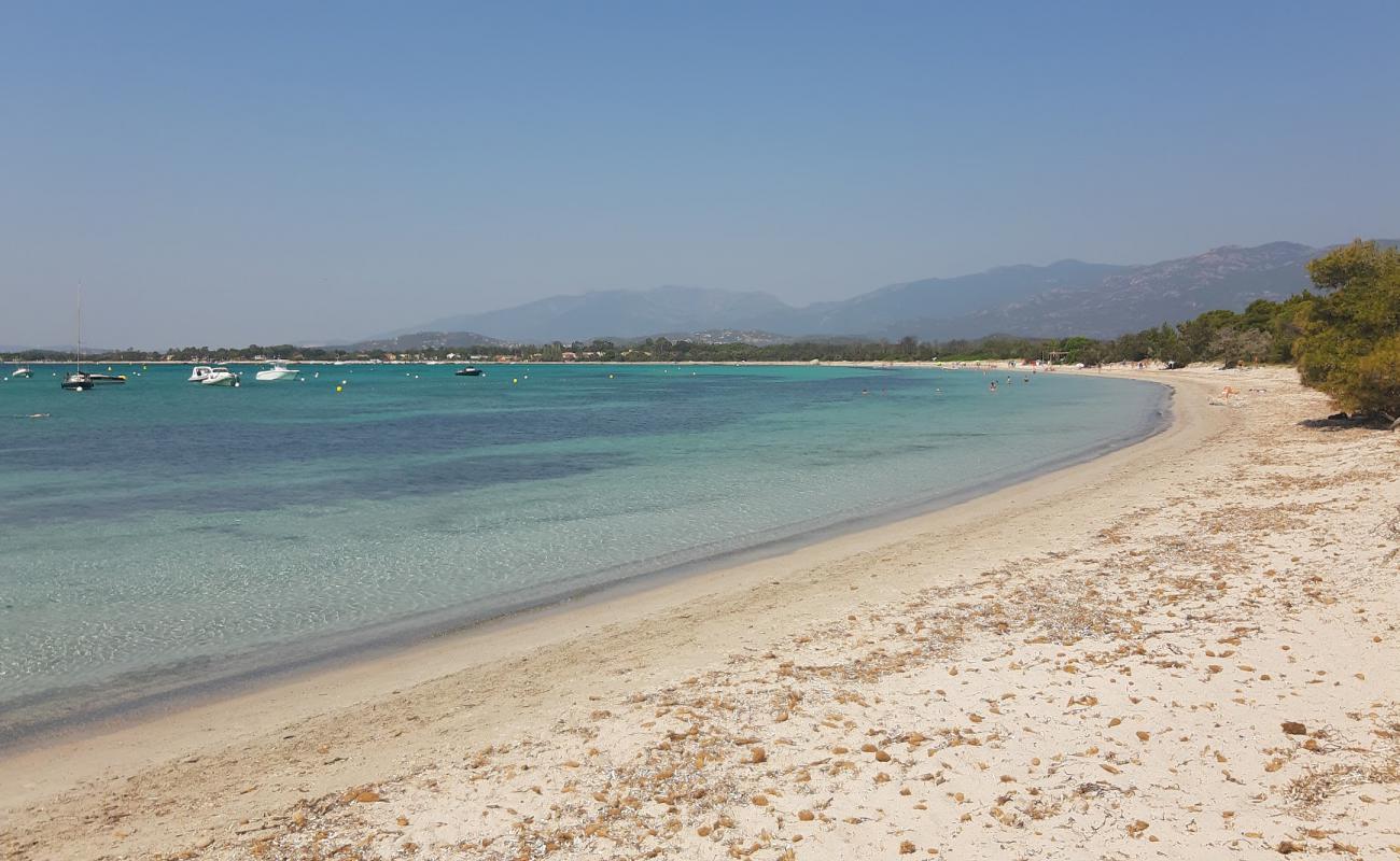 Foto af Plage de Pinarellu II med lys fint sand overflade