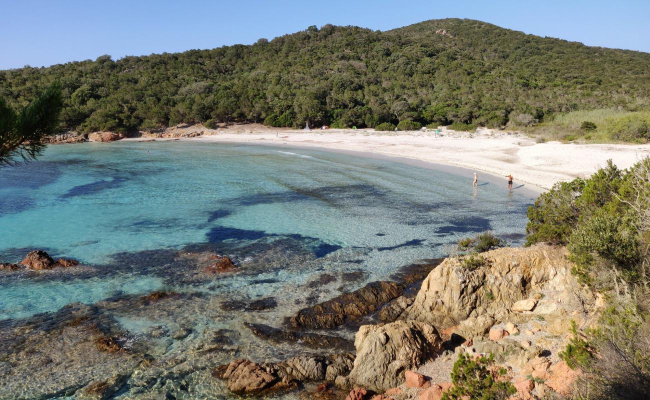 Foto af Plage De Carataggio med lys sand overflade