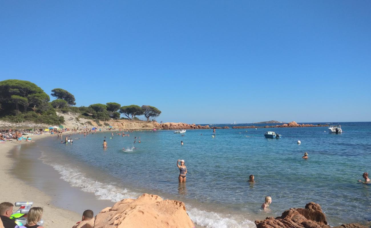 Foto af Palombaggia Strand med lys sand overflade