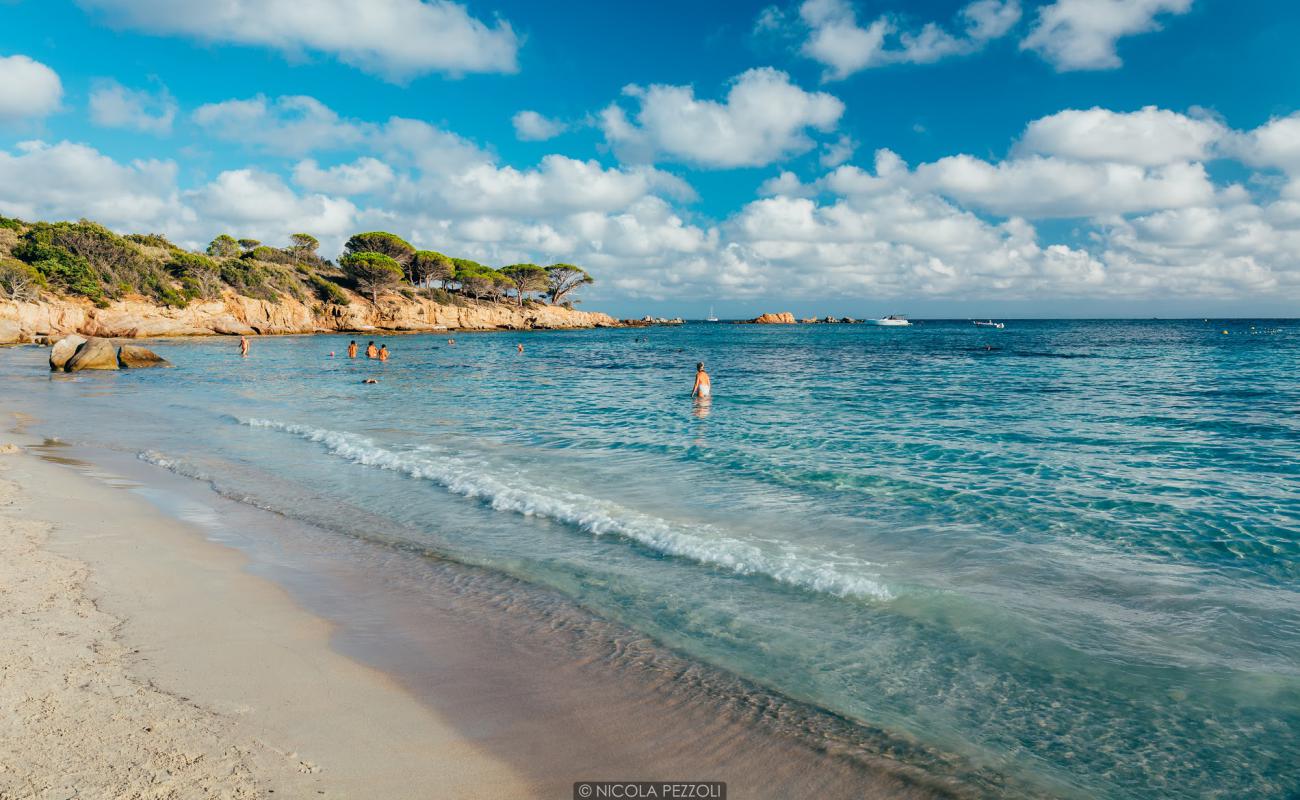 Foto af Plage d'Acciaju med lys sand overflade