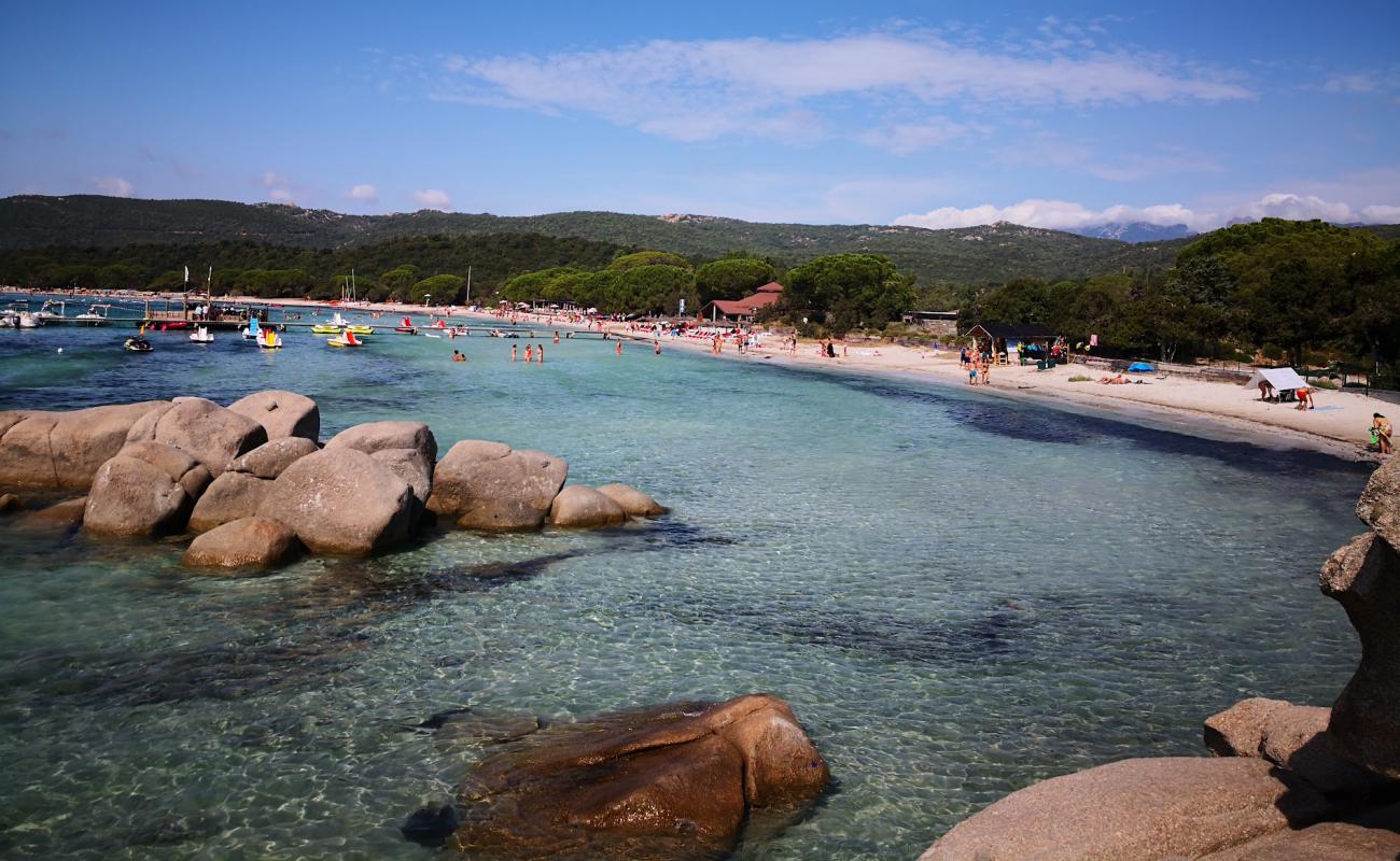 Foto af Plage de Santa Giulia med lys sand overflade