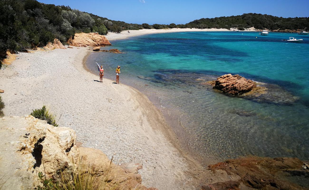 Foto af Plage de Rondinara II med lys sand overflade