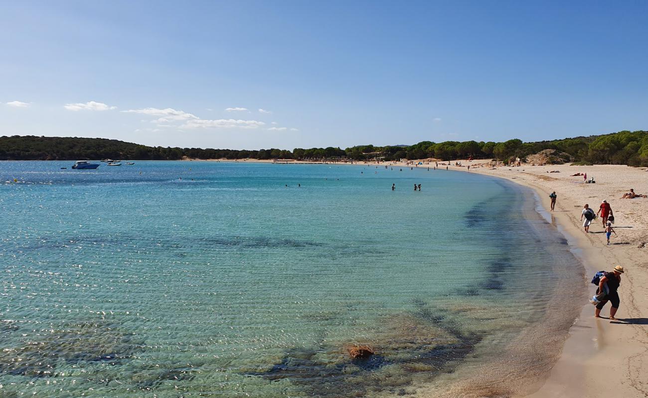 Foto af Rondinara Strand med lys sand overflade