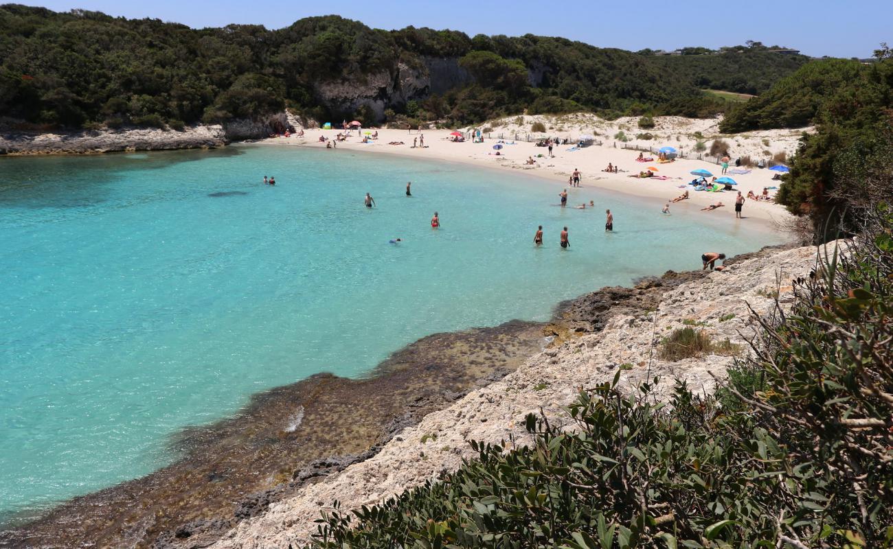 Foto af Petit Sperone Strand med lys fint sand overflade