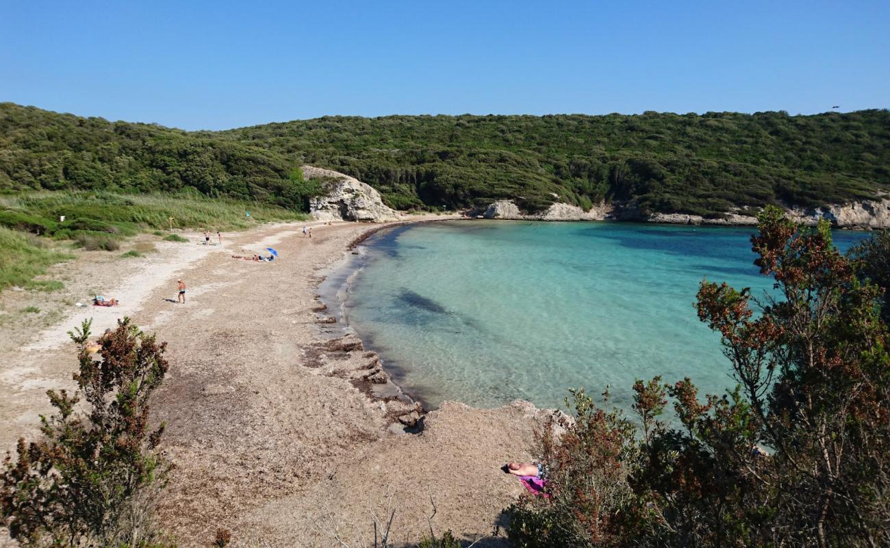 Foto af Paraguan beach med let sten overflade