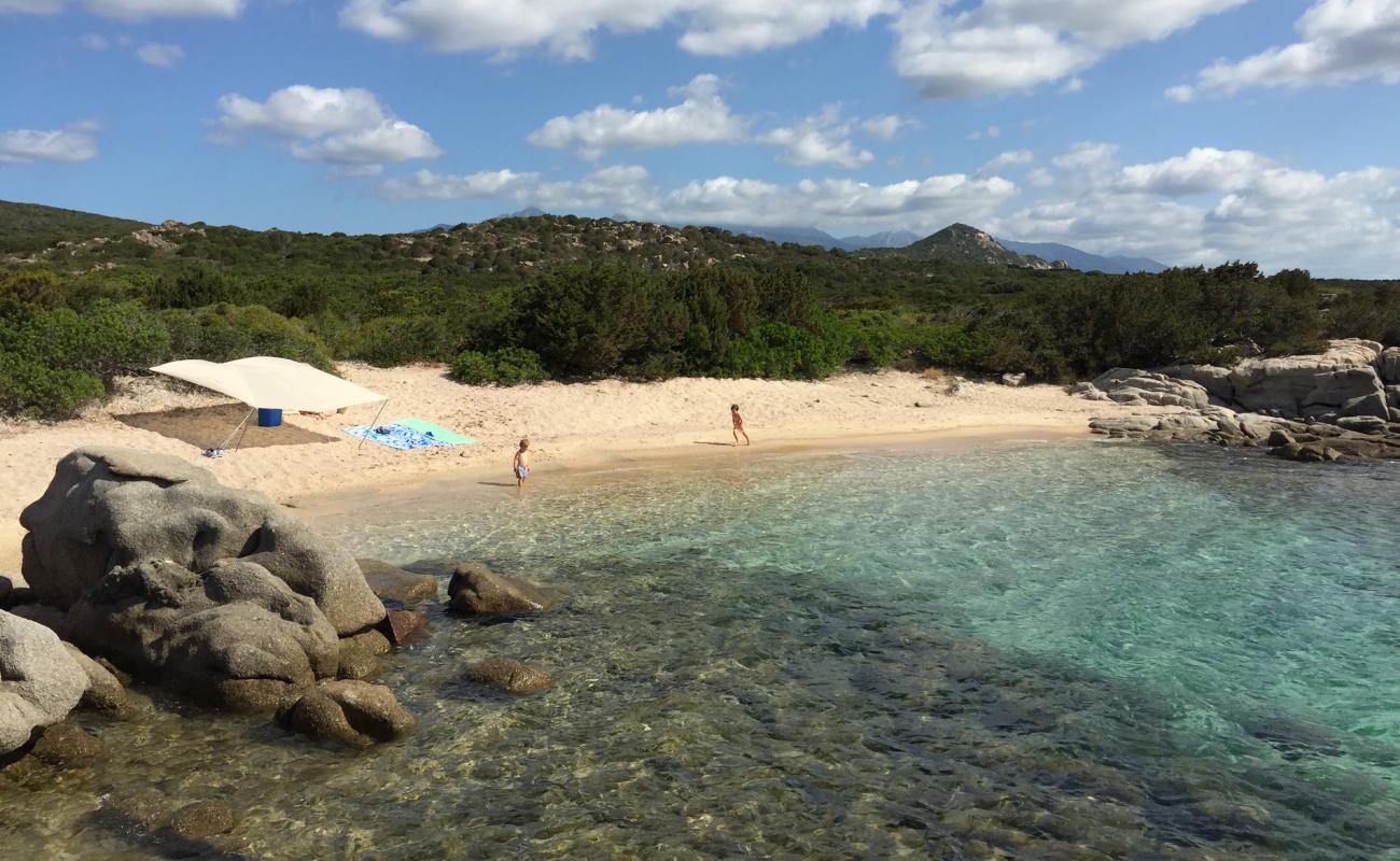 Foto af La Testa beach IV med lys fint sand overflade