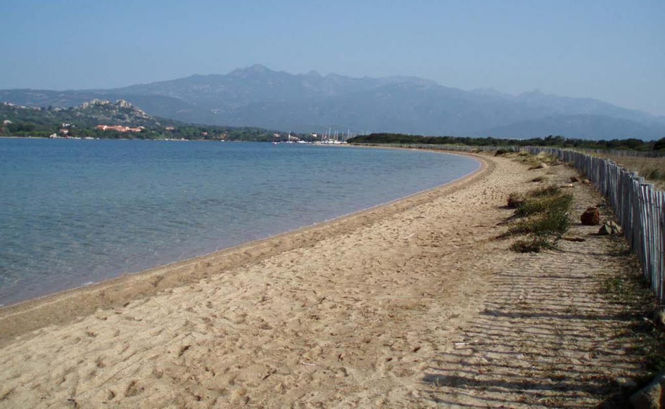 Foto af Eole Figari med lys sand overflade