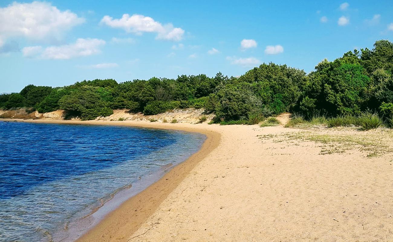 Foto af Figari beach med lys fint sand overflade