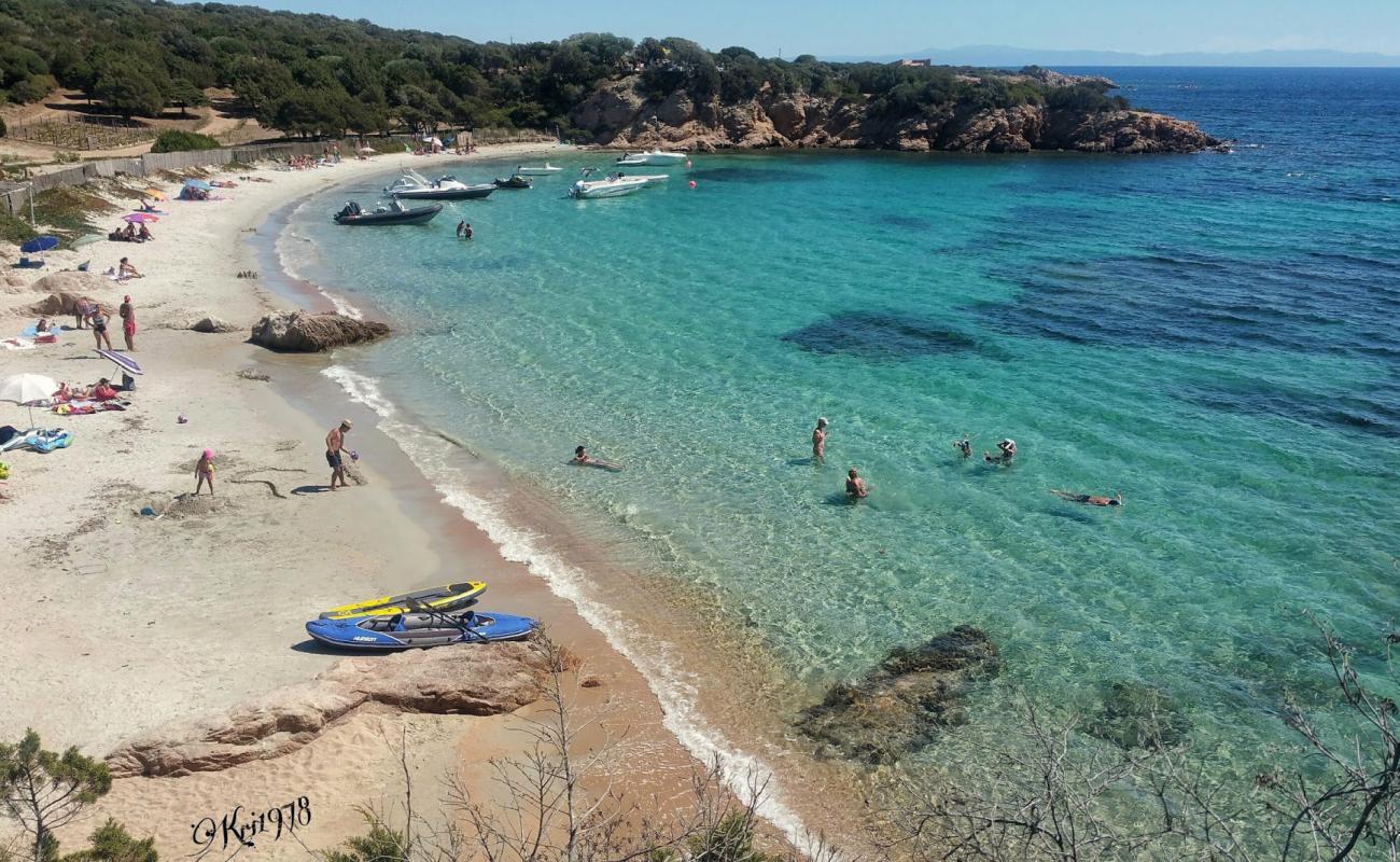 Foto af Plage de Furnellu med lys sand overflade