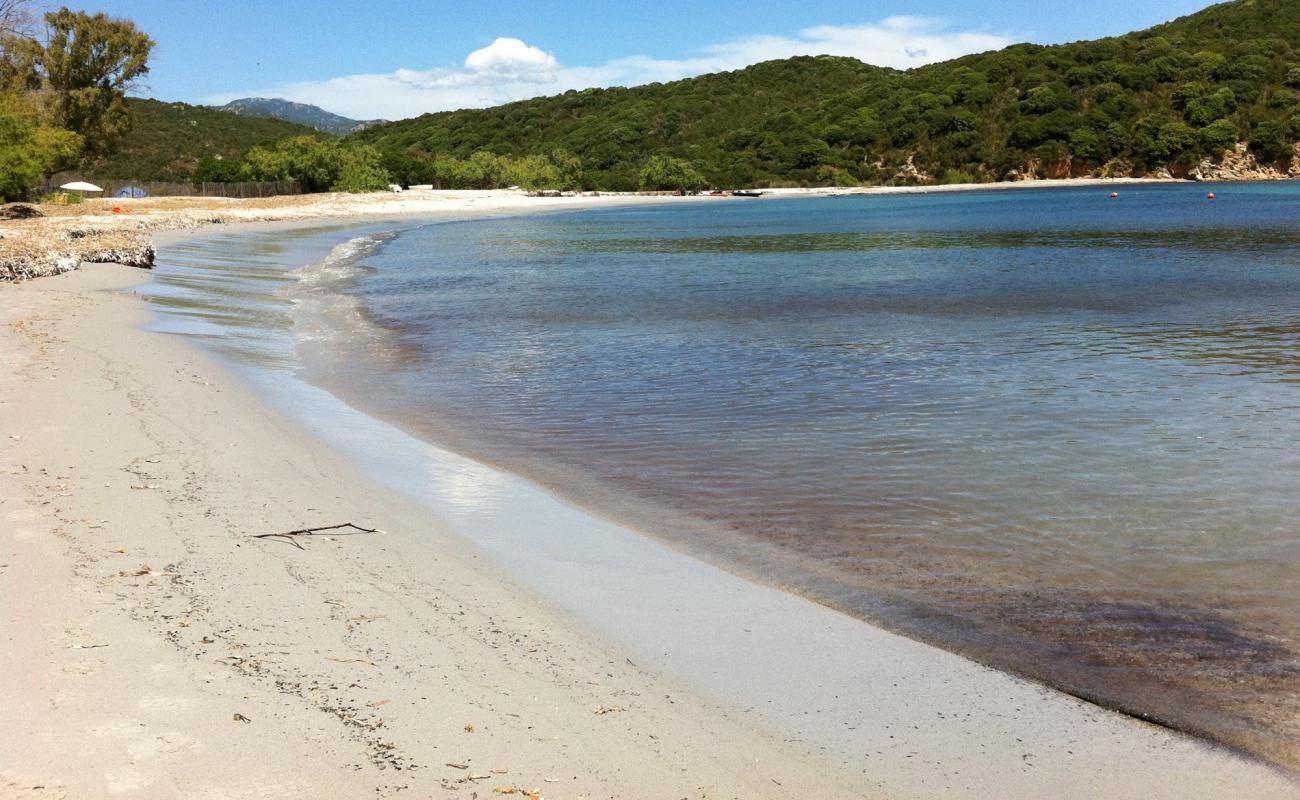 Foto af Plage de Furnellu II med lys sand overflade