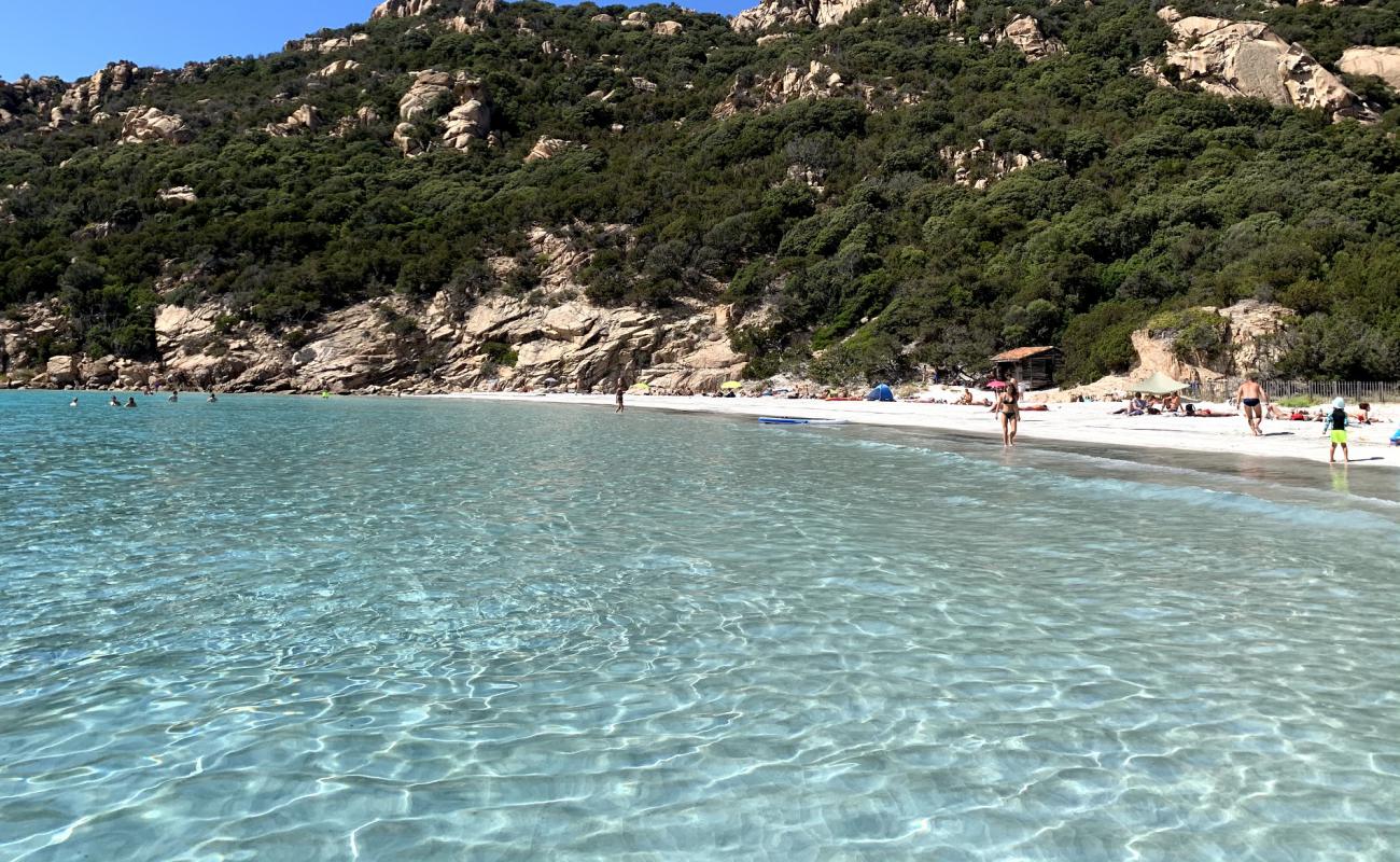 Foto af Roccapina Strand med lys sand overflade