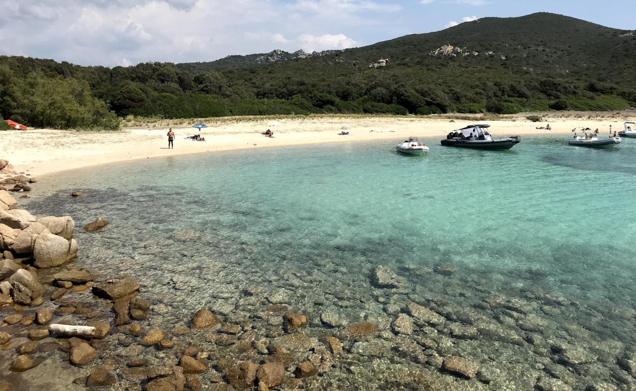 Foto af Cala di Conca med lys sand overflade