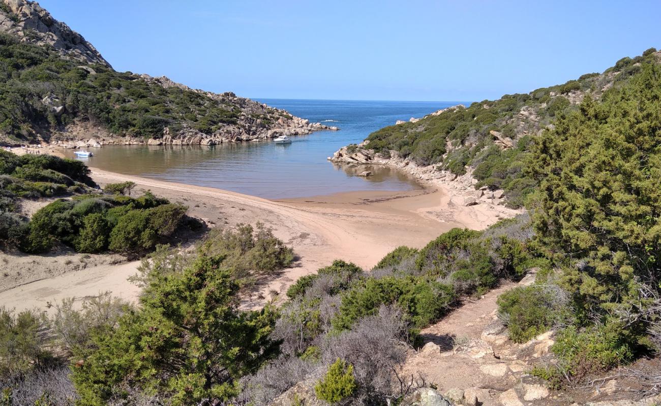 Foto af Cala D'agulia med lys fint sand overflade