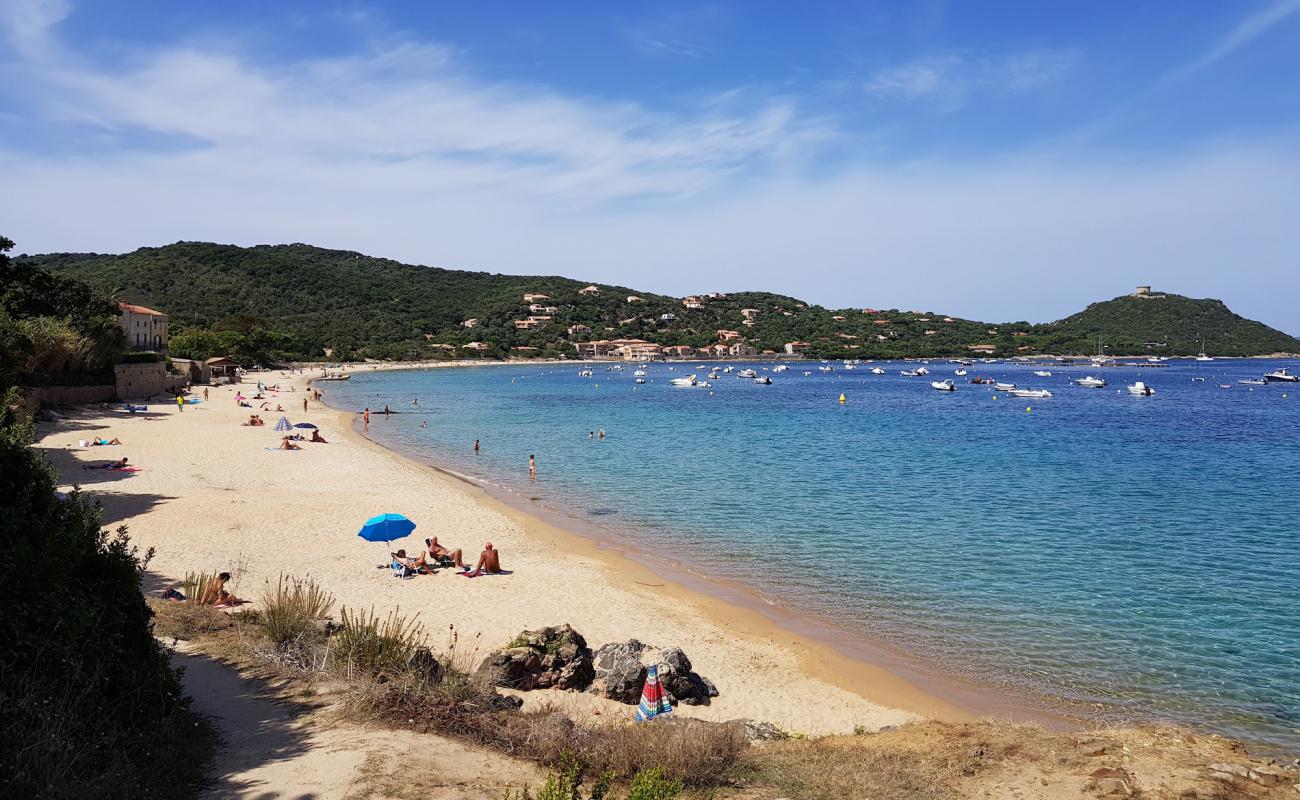 Foto af Campomoro Strand med lys sand overflade