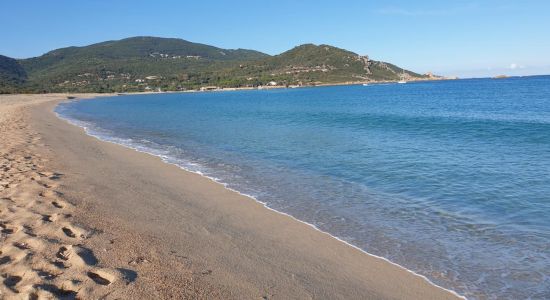 Portigliolo beach