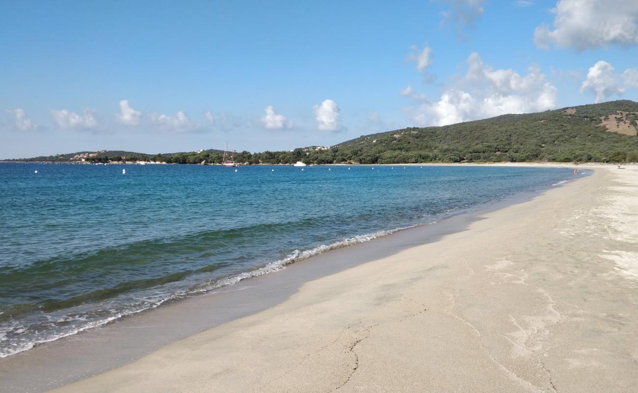 Foto af beach of Taravo med lys fint sand overflade