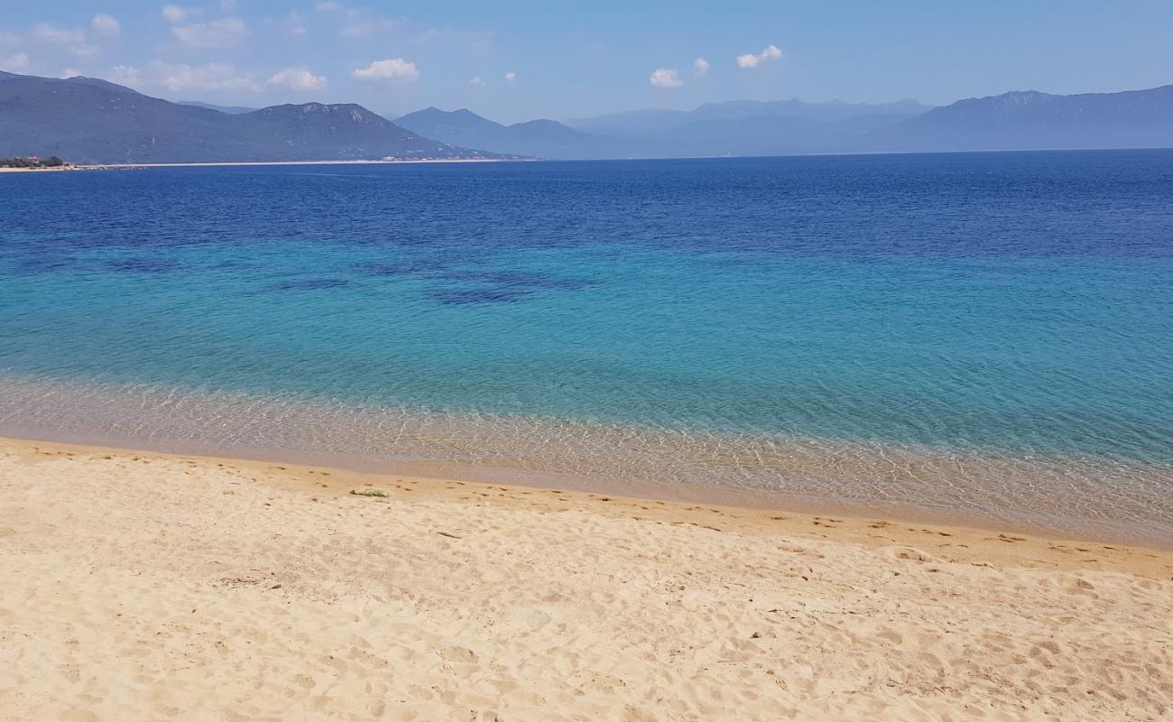 Foto af Porto Pollo beach med lys fint sand overflade