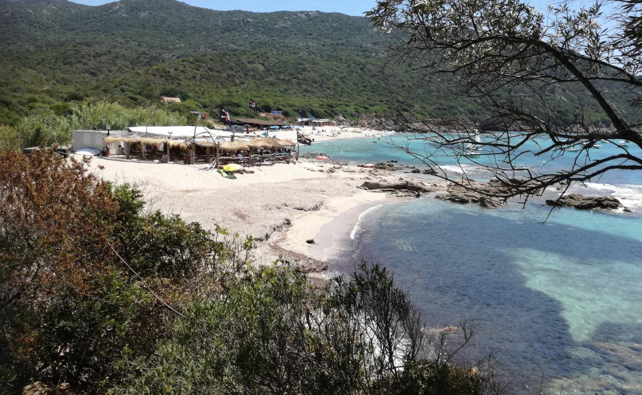 Foto af Cala d'Orzo med lys fint sand overflade