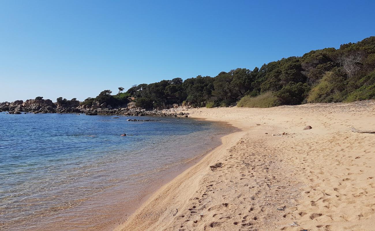 Foto af Arena Rossa II med lys fint sand overflade