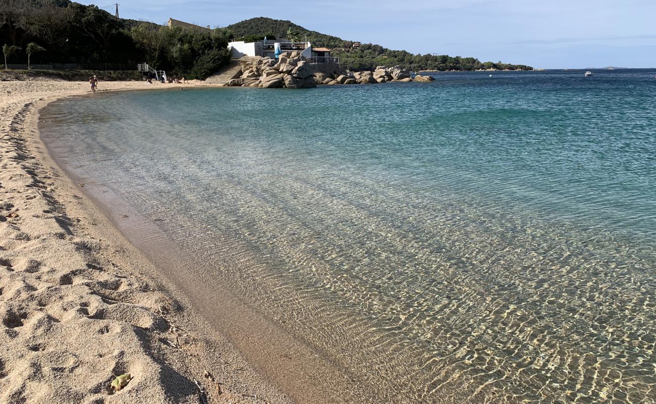 Foto af Verghia Strand med lys fint sand overflade