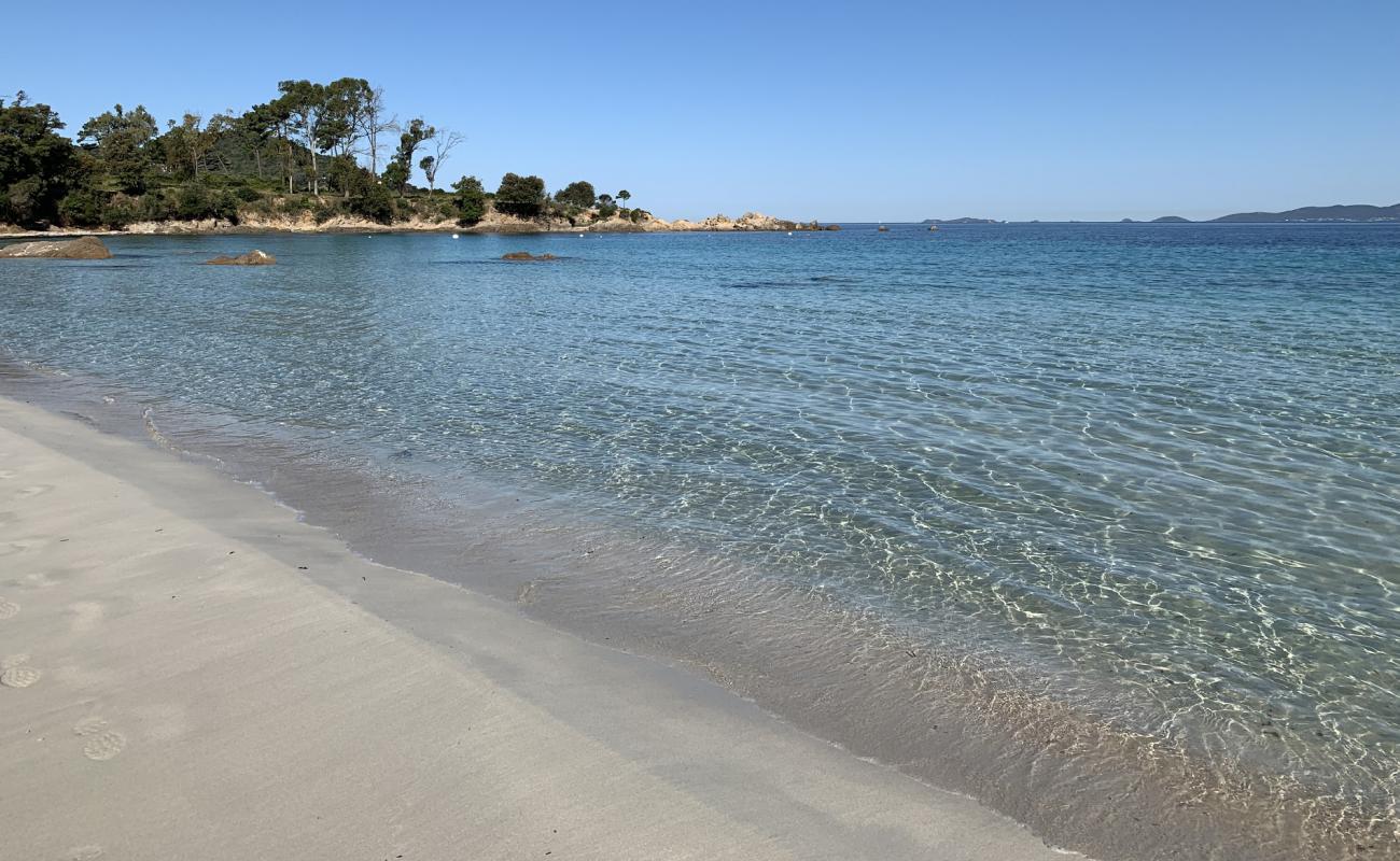 Foto af Mare E Sole Strand med lys fint sand overflade