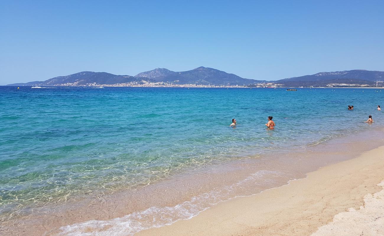 Foto af Porticcio Strand med lys fint sand overflade