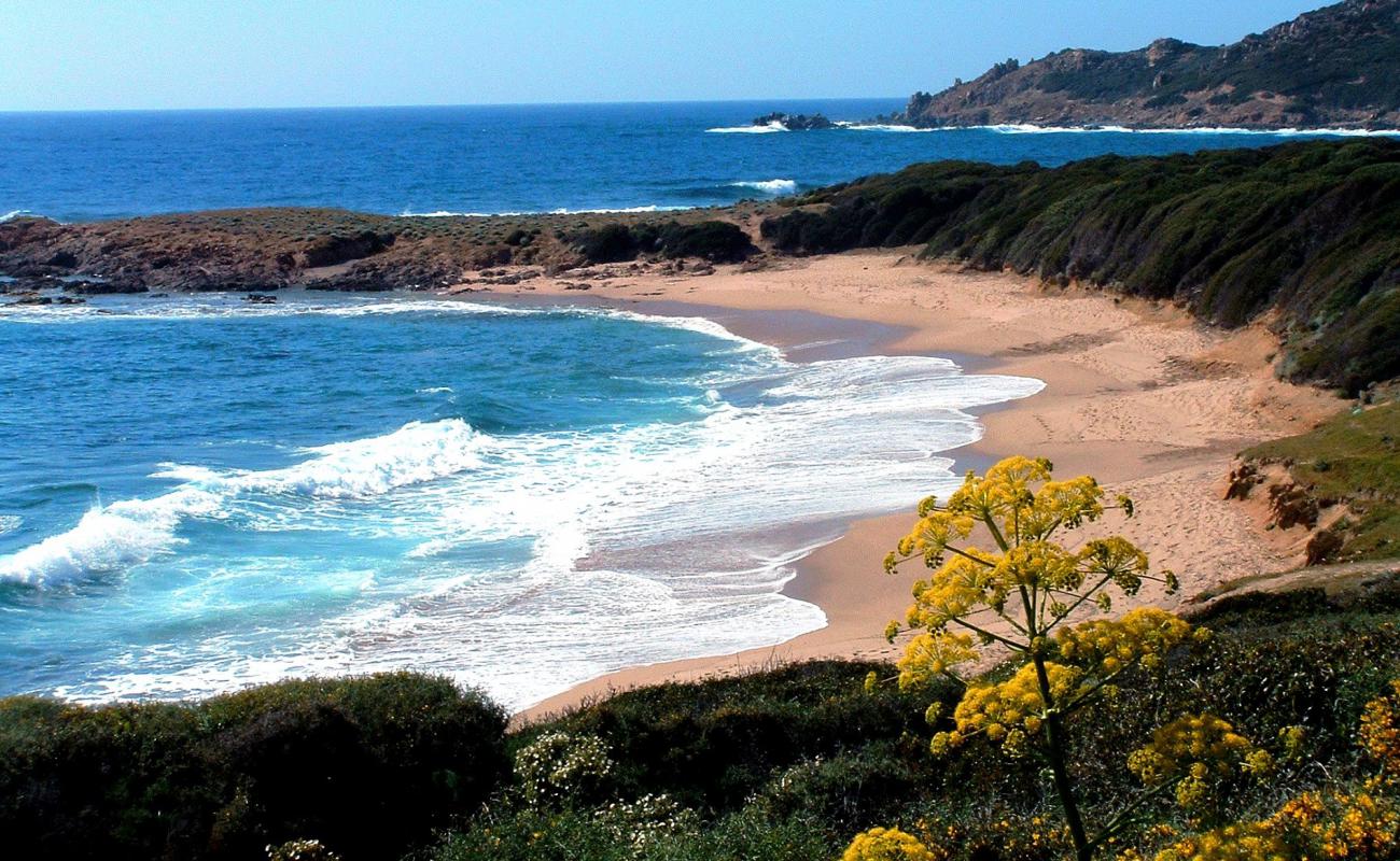 Foto af Cala Di Fico II med lys sand overflade