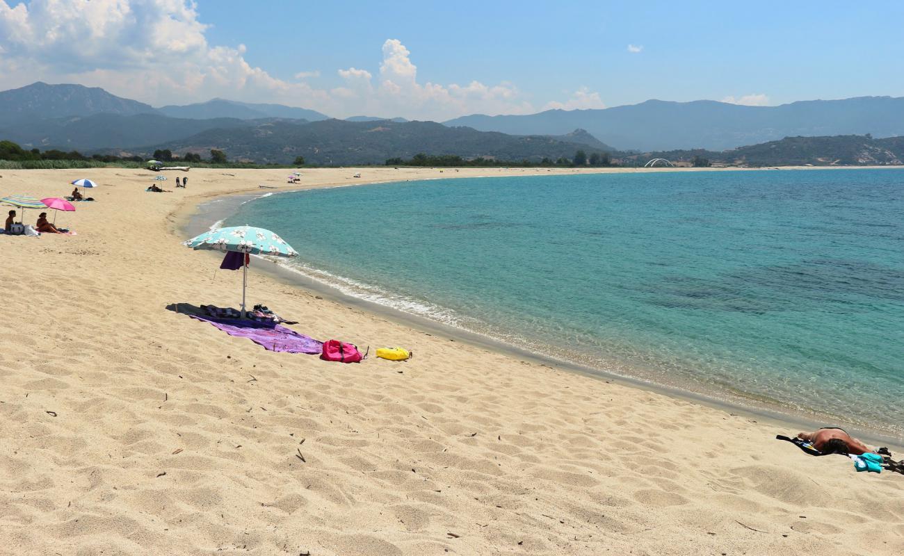 Foto af Sagone beach med lys fint sand overflade