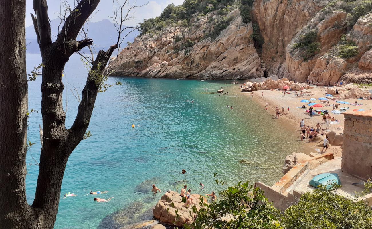 Foto af Ficaghjola beach med let fin sten overflade